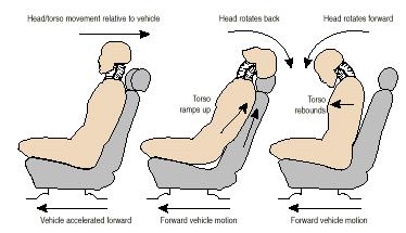 Whiplash and the Biomechanical Engineer-Part One-The Four Phases.
