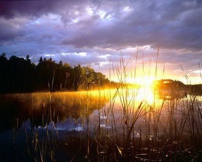 external image a_new_beginning_101.jpg